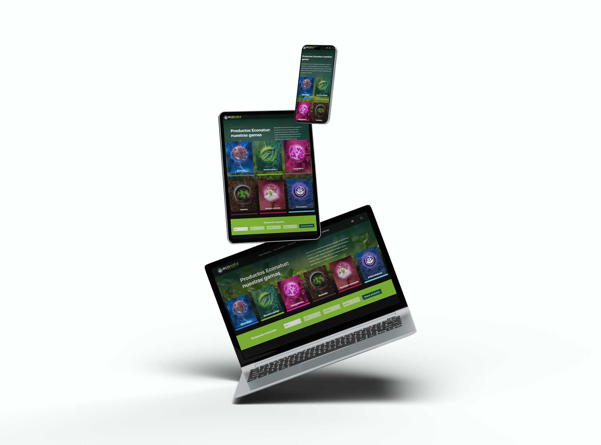 Diseño web