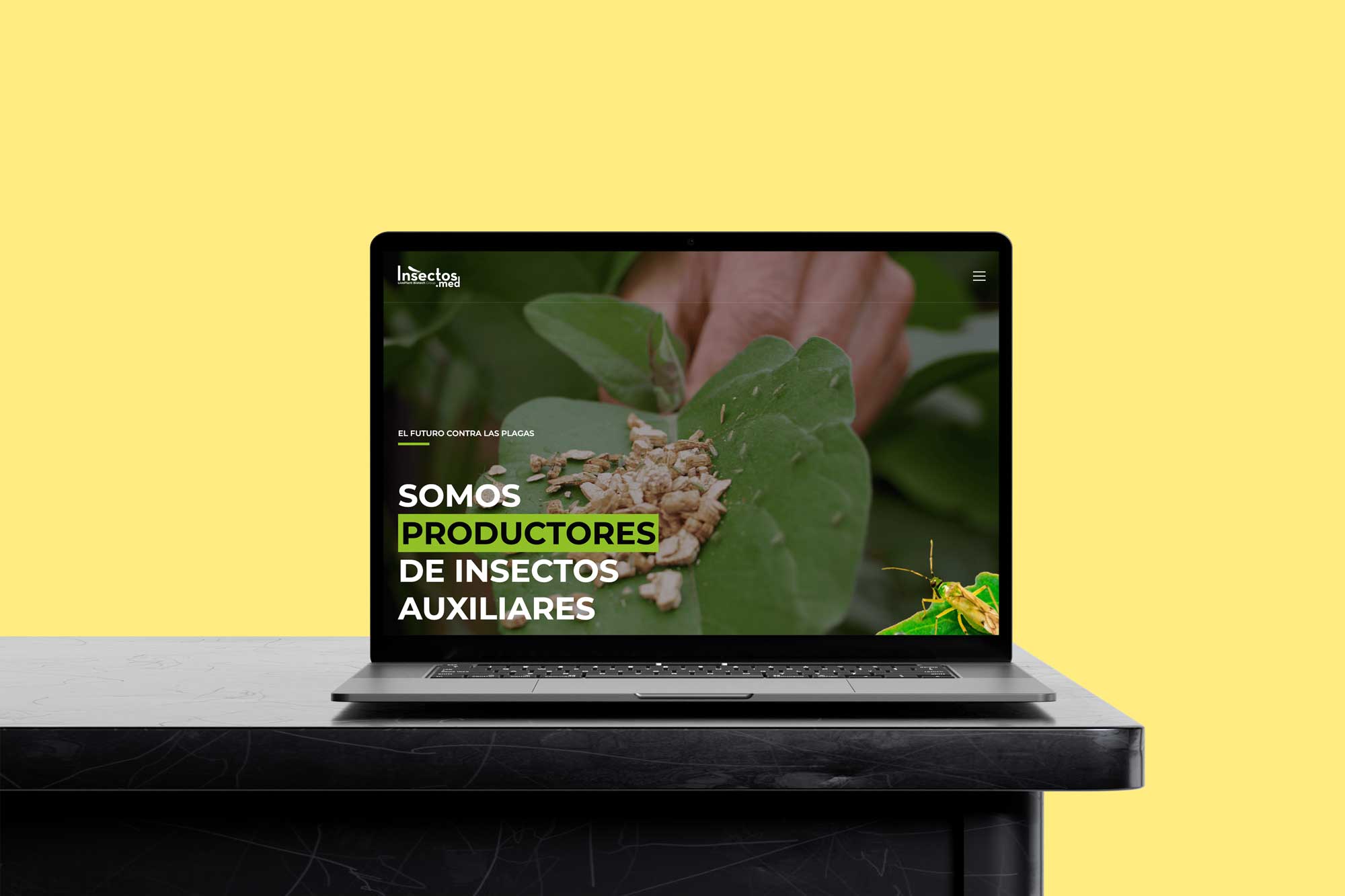 Diseño web corporativo